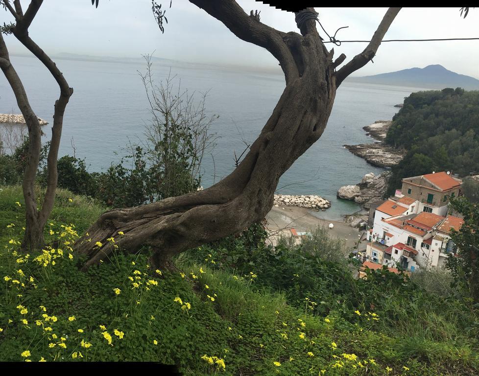 Villa Rosmary - Sorrento Coast - Gulf Of Naples View Exteriér fotografie