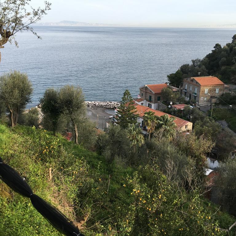 Villa Rosmary - Sorrento Coast - Gulf Of Naples View Exteriér fotografie