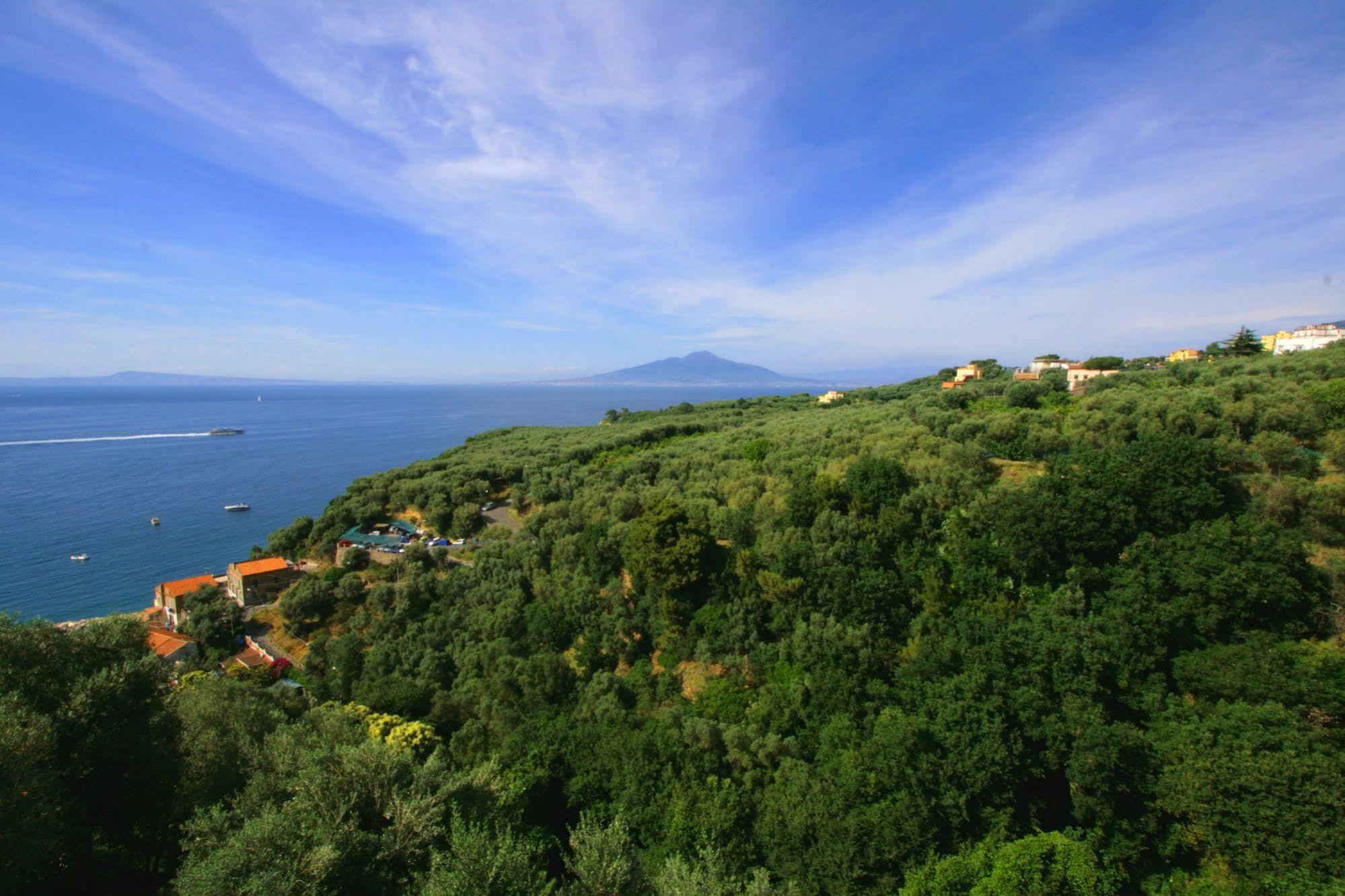 Villa Rosmary - Sorrento Coast - Gulf Of Naples View Exteriér fotografie
