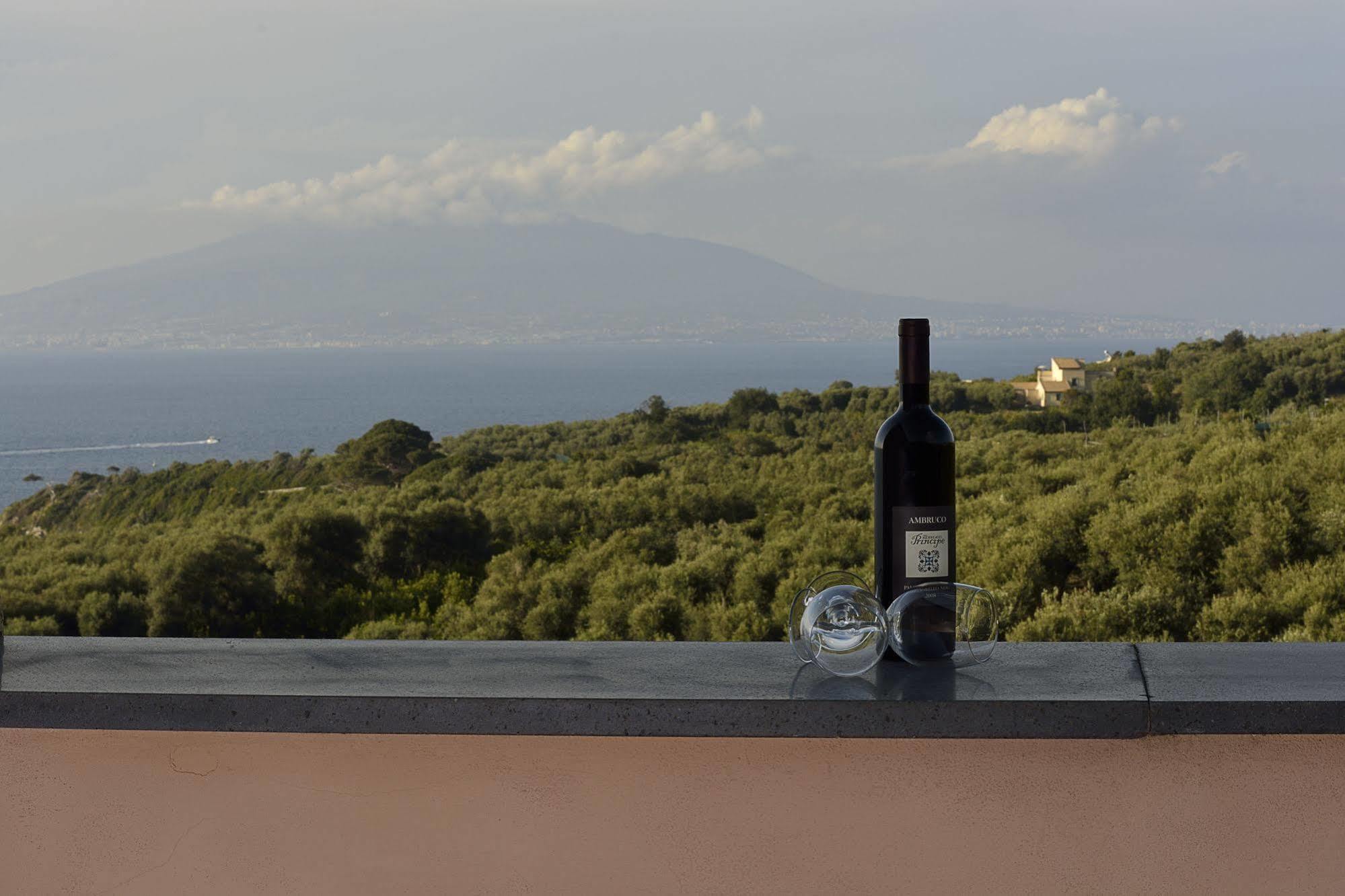 Villa Rosmary - Sorrento Coast - Gulf Of Naples View Exteriér fotografie