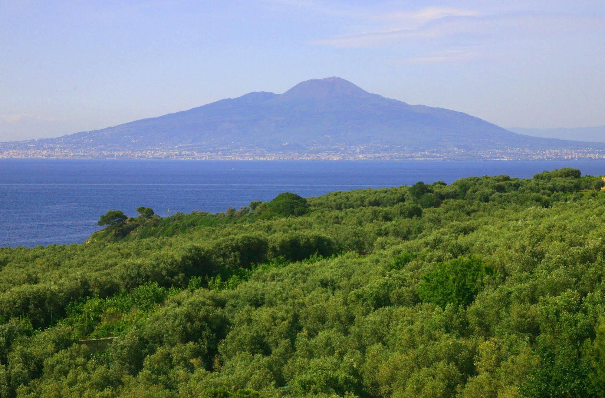 Villa Rosmary - Sorrento Coast - Gulf Of Naples View Exteriér fotografie