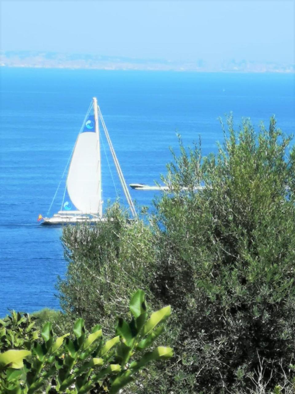 Villa Rosmary - Sorrento Coast - Gulf Of Naples View Exteriér fotografie