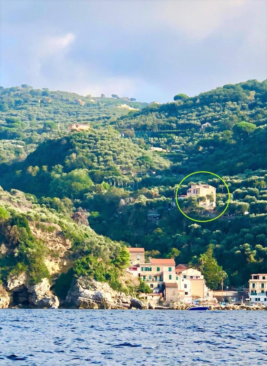 Villa Rosmary - Sorrento Coast - Gulf Of Naples View Exteriér fotografie